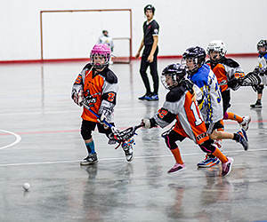 WLC-gallery-image-109