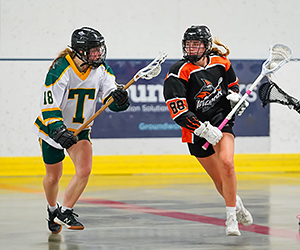 WLC-gallery-image-288